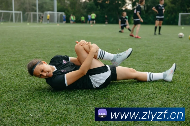 米兰体育网页官网APP 封面图